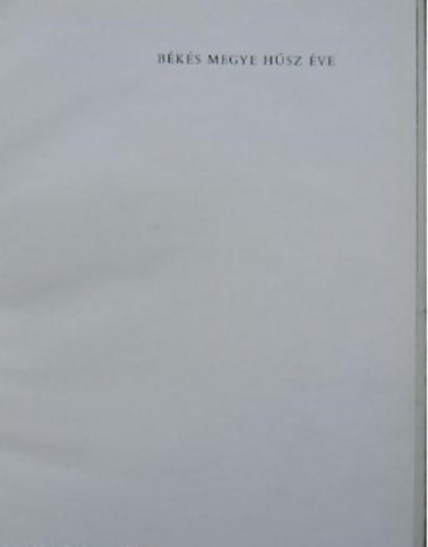 Cserei P�l - B�k�s megye h�sz �ve