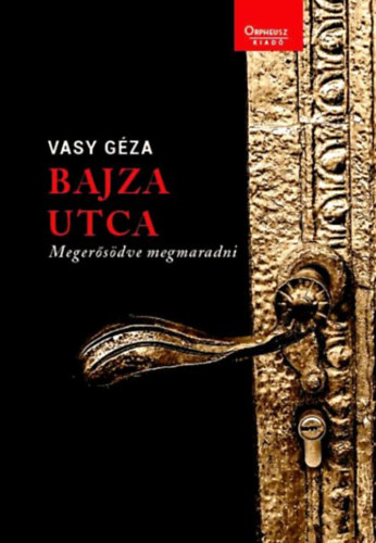 Vasy Gza - Bajza utca