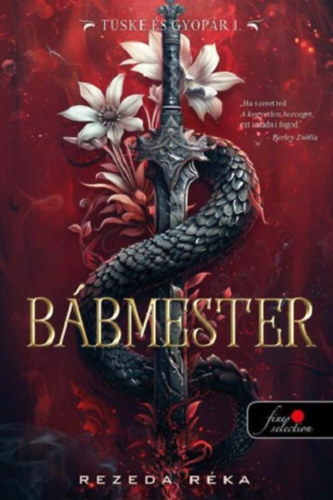 Rezeda Rka - Bbmester