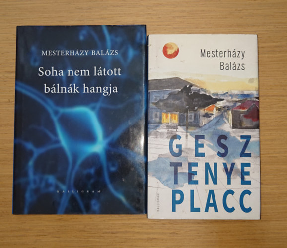 Mesterházy Balázs - 2 kötet Mesterházy Balázstól: Gesztenye placc, Soha nem látott bálnák hangjakort