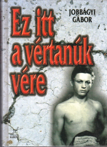 Jobbgyi Gbor - Ez itt a vrtank vre - Az 1956 utni megtorlsi eljrsok