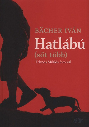 Bcher Ivn - Hatlb - (St tbb)
