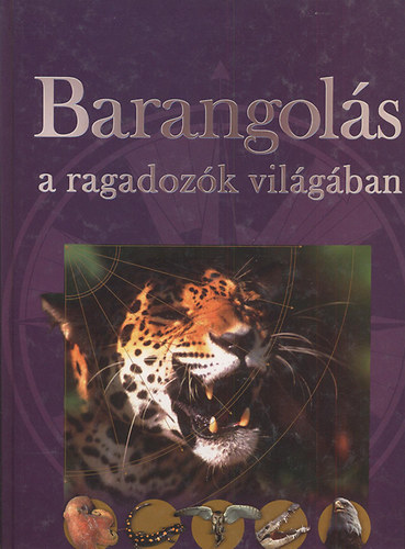 Barangols a ragadozk vilgban