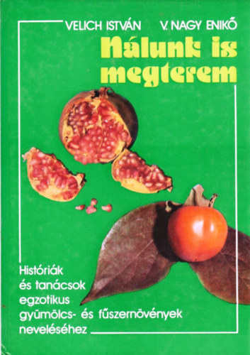 Velich Istv�n-V. Nagy Enik� - N�lunk is megterem