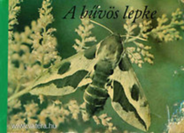 Winfried V�llger - A b�v�s lepke