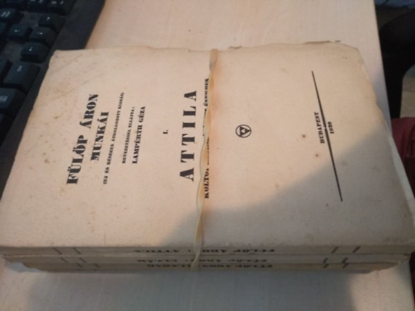 Fülöp Áron - Attila fiai I-IV. (Attila, Ellák, Aladár, Csaba)