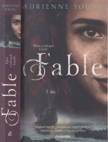 Adrienne Young - Fable- kk a tolvajok kztt