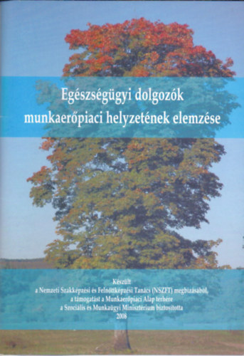 Dr Tiringer Istvn Dr Strasszn Bnki Cecilia - Eegszsggyi dolgozk munkaerpiaci helyzetnem elemzse