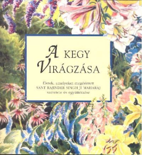 Sant Rajinder Singh - A KEGY VIRGZSA
