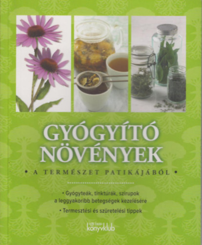 Hessky Eszter - Gyógyító Növények - Gyógyteák, tinktúrák, szirupok a leggyakoribb betegségek kezelésére