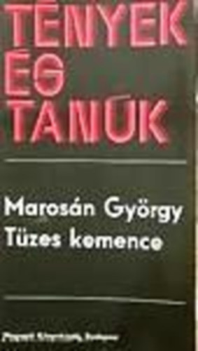 Marosn Gyrgy - Tzes kemence (Tnyek s tank)