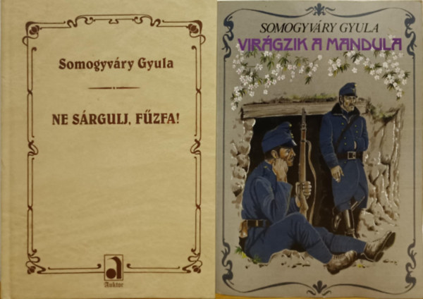 Somogyv�ry Gyula vit�z - Somogyv�ry Gyula k�nyvcsomag