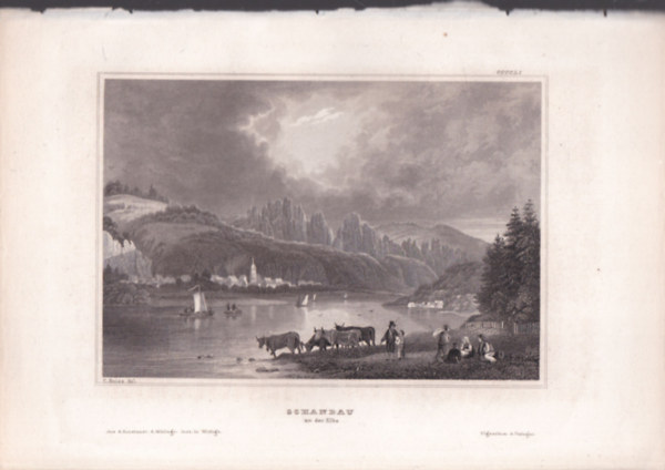 Schandau (telepls Szszorszg tartomnyban, Nmetorszg, Eurpa) (16x23,5 cm mret eredeti aclmetszet, 1856-bl)