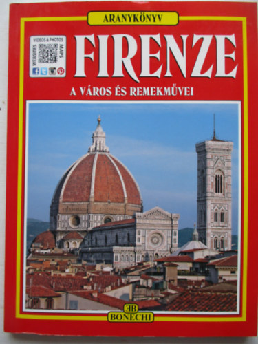 Firenze - a vros s remekmvei (Aranyknyv)