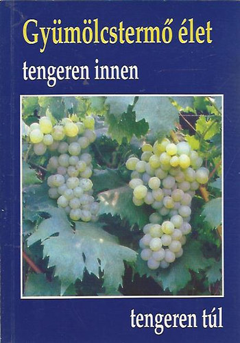 Varga Gizella M. Flávia nővér FDC - Gyümölcstermő élet tengeren innen tengeren túl