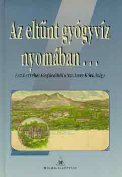 Dr. Back Frigyes - Az elt�nt gy�gyv�z nyom�ban... (Az Erzs�bet S�sf�rd�t�l a Szt. Imre ..