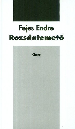 Fejes Endre - Rozsdatemet