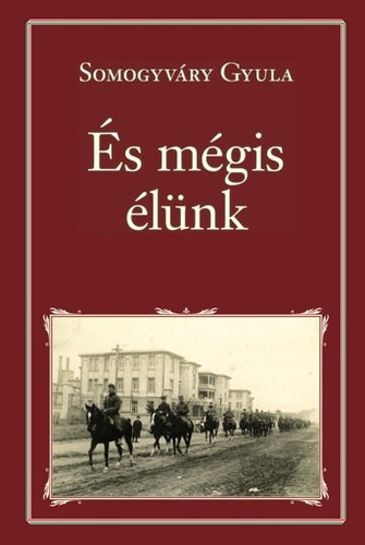 Vitz Somogyvry Gyula - s mgis lnk