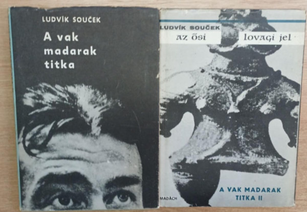 Ludvik Soucek - A vak madarak titka - Az �si lovagi jel (A vak madarak titka II.)