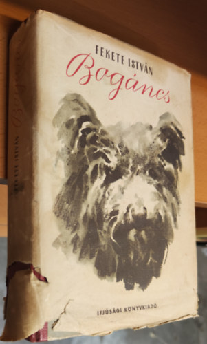 Fekete Istvn - Bogncs I. kiads