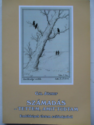 Gál József - Számadás - tettem amit tudtam