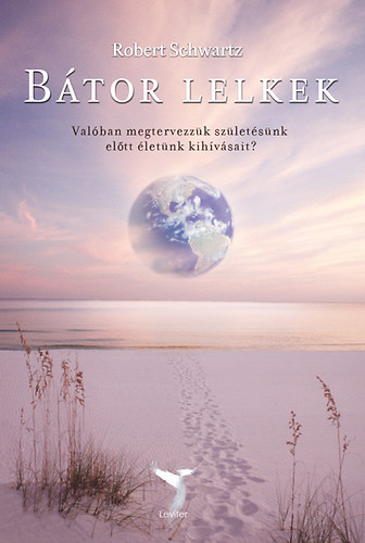 Robert Schwartz - Btor lelkek