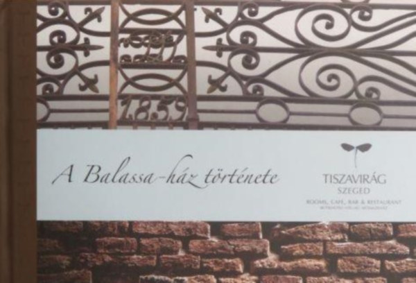 A Balassa-ház története