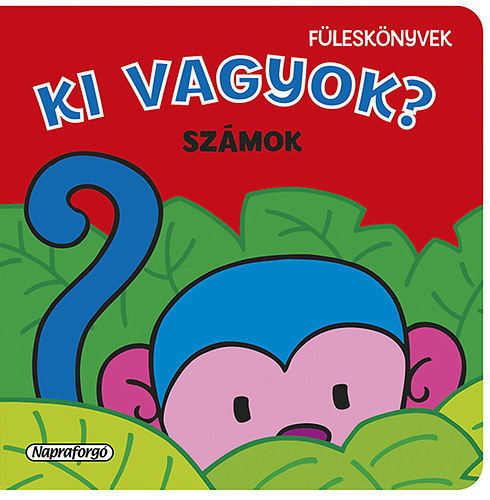 Ki vagyok? - Számok