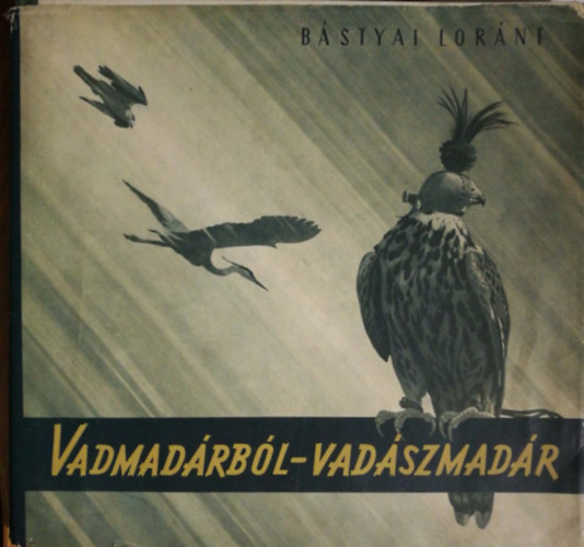 Bástyai Lóránt - Vadmadárból-vadászmadár