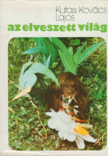 Kutasi Kovcs Lajos - Az elveszett vilg