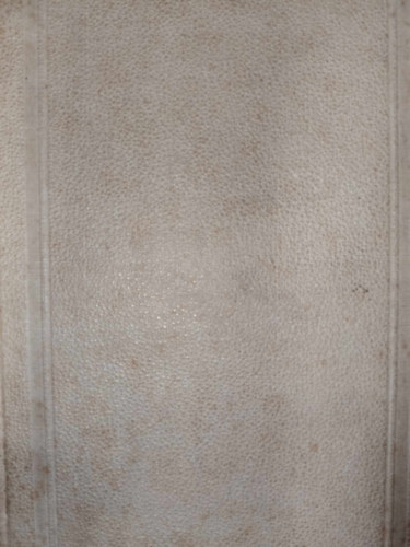 Pap Dnes - A magyar nemzetgyls Pesten 1848-ban I-II.