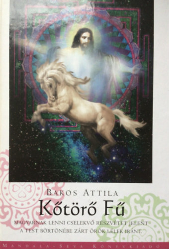 Bakos Attila - K�t�r� f� - Magyarnak lenni cselekv� r�szv�tet jelent a test b�rt�n�be z�rt �r�k l�lek ir�nt