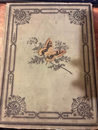 K.G. [Karl Georg]: Lutz - Das Buch der Schmetterlinge. Eine Schilderung der mitteleurop�ischen Schmetterlinge mit besonderer Ber�cksichtigung der Raupen und ihrer Nahrungspflanzen.