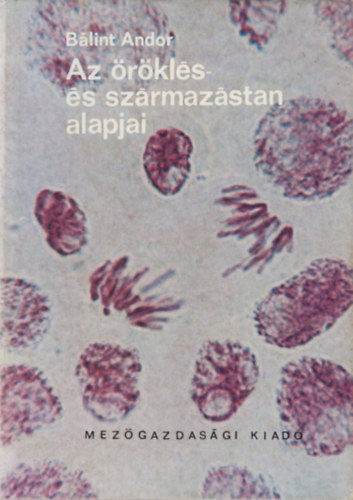Blint Andor - Az rkls- s szrmazstan alapjai