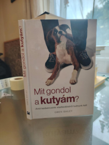 Gwen Bailey - Mit gondol a kutyám? - Amit a kedvenceink viselkedéséről tudnunk kell