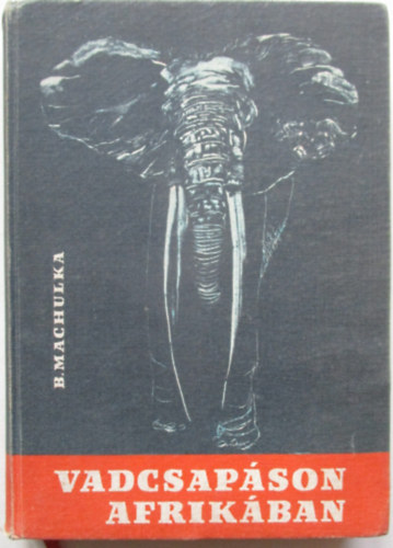 B�drich Machulka - Vadcsap�son Afrik�ban