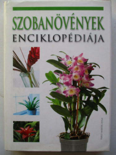 Pablo Mart�n �vila - Szoban�v�nyek enciklop�di�ja