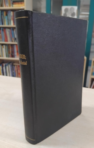 Gustave Flaubert - Szent Antal megkisrtetse (Tevan)