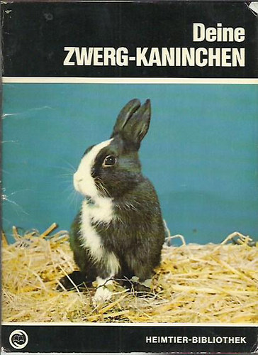 Deine Zwerg - Kaninchen