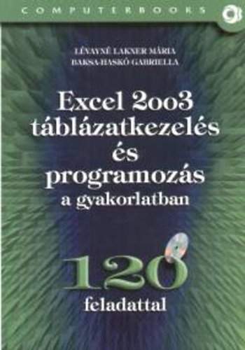Lvayn Lakner Mria; Baksa-Hask Gabriella - Excel 2003 tblzatkezels s programozs a gyakorlatban