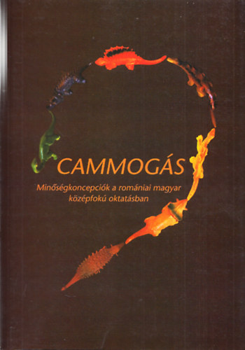 Papp Z. Attila  (szerk.) Mandel Kinga (szerk.) - Cammogs - Minsgkoncepcik a romniai magyar kzpfok oktatsban