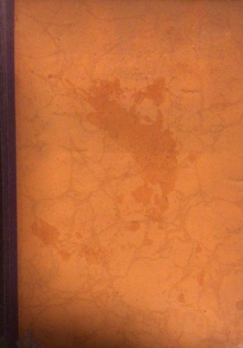 Böhm Vilmos - Két forradalom tüzében