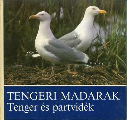 Claus Schnert - Tengeri madarak-Tenger s partvidk