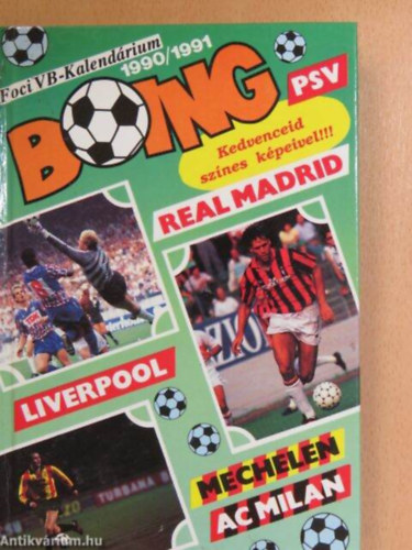 Foci VB-kalendrium 1990/1991