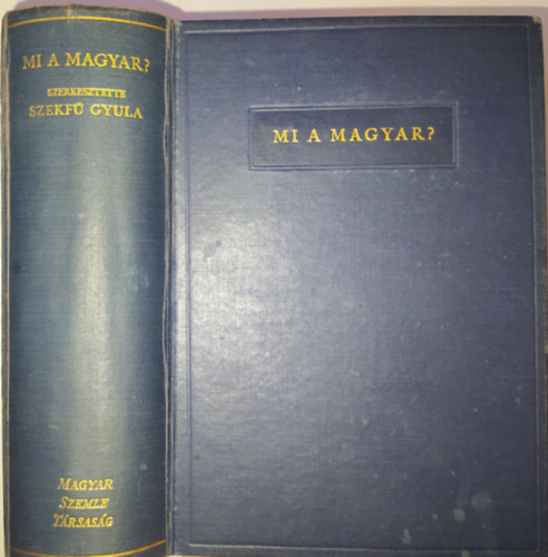 Szekf Gyula  (szerk.) - Mi a magyar?