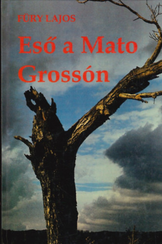 F�ry Lajos - Es� a Mato Gross�n