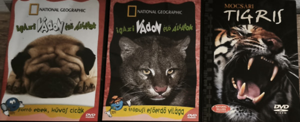 3db vadálatokkal, vadvilággal kapcsolatos DVD - Igazi vadon élő állatok-A trópusi esőerdő világa, Igazi vadon élő állatok-Forró ebek, hűvös cicák, Mocsári tigris