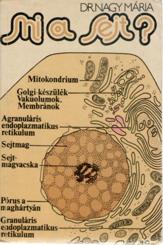 Dr. Nagy Mria - Mi a sejt?