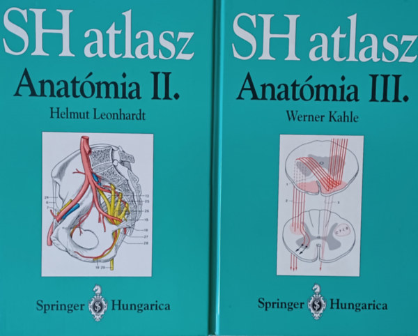 Werner Kahle Helmut Leonhardt - SH atlasz - Anatmia II-III. (2 m)