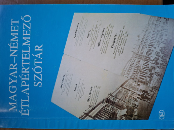 Dr. S�ndor L�szl� - Magyar-N�met �tlap�rtelmez� sz�t�r